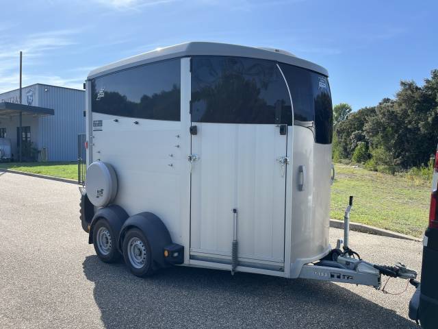 Trailer Ifor Williams  2 Cavalli 2023 Occasione
