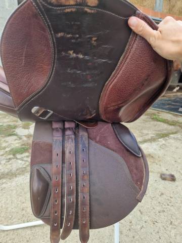 Sella da salto ostacoli Bates  17" - 2020