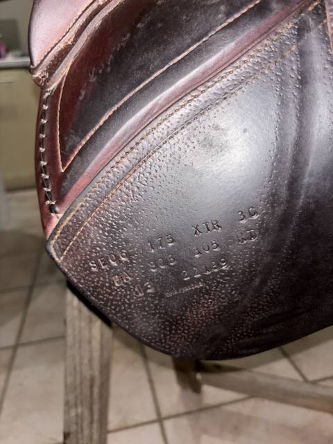 Sella da salto ostacoli CWD  17.5" - 2013