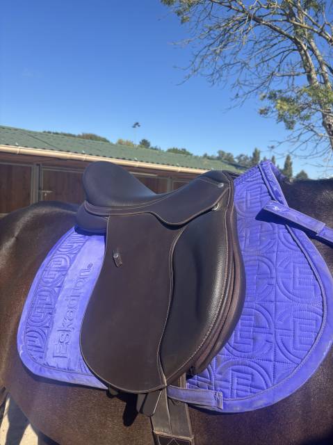 Sella mista Wintec  17.5" - 2022