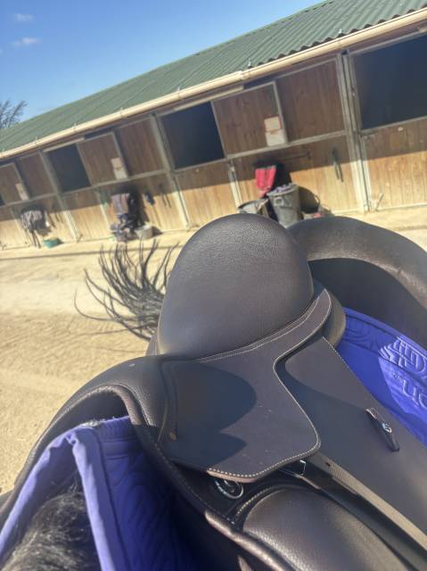 Sella mista Wintec  17.5" - 2022