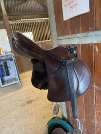 Sella da salto ostacoli Equipe  16.5" - 2020