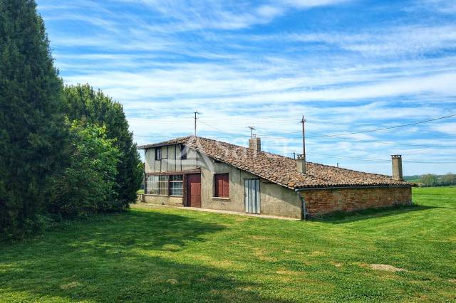 Azienda avicola In vendita Tarn-et-Garonne