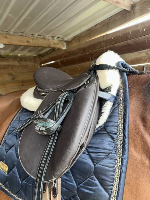 Sella mista Norton  17" - 2022