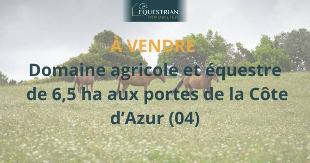 Proprietà equestre In vendita 