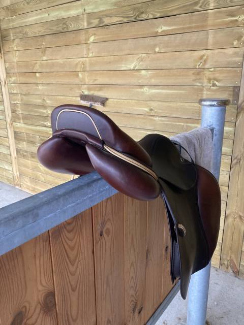 Sella da salto ostacoli CWD  17.5" - 2019