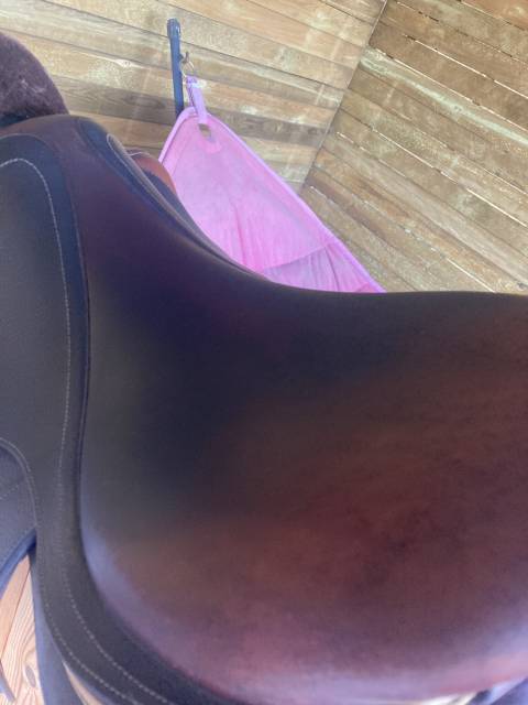 Sella da salto ostacoli CWD  17.5" - 2019