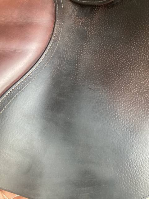 Sella da salto ostacoli CWD  17.5" - 2019