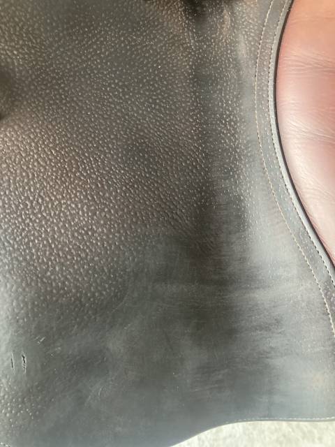 Sella da salto ostacoli CWD  17.5" - 2019