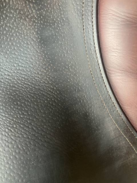 Sella da salto ostacoli CWD  17.5" - 2019