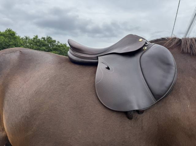 Sella da salto ostacoli Prestige Italia  17" - 2020