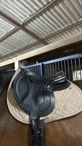 Sella da salto ostacoli CWD  17" - 2021