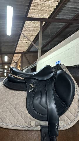 Sella da salto ostacoli CWD  17" - 2021