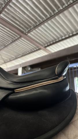 Sella da salto ostacoli CWD  17" - 2021