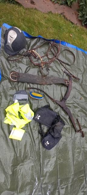 Sella western Pool's  17" - 2017