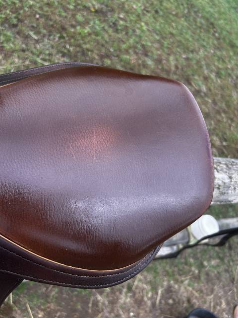 Sella mista Terrys Sensor 17.5" - 2009