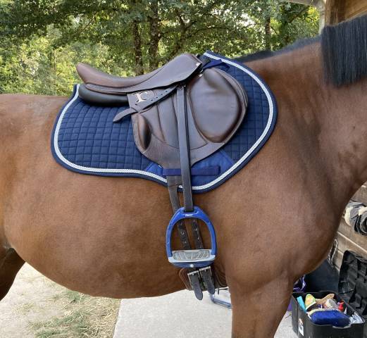 Sella da cross Rebelle  17.5" - 2018