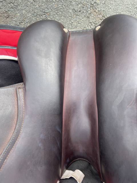 Sella da salto ostacoli CWD SE03 17" - 2011