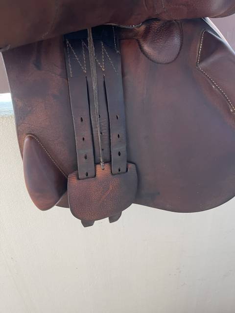 Sella da salto ostacoli Antar&egrave;s  18" - 2014