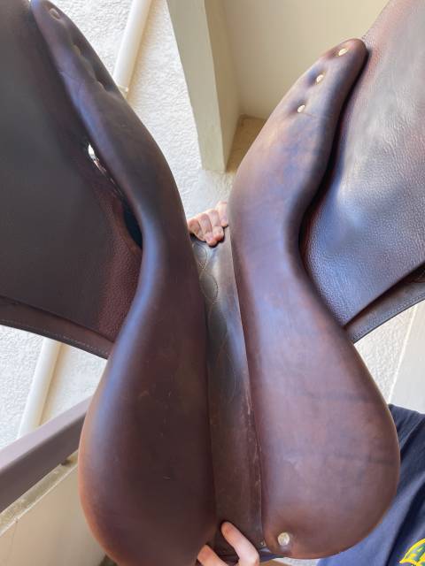 Sella da salto ostacoli Antar&egrave;s  18" - 2014