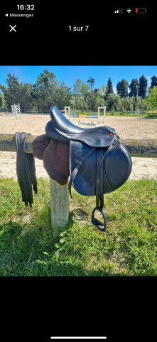 Sella mista  Prolight 17.5" - 2020
