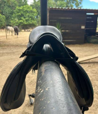 Sella mista   17.5" - 2017