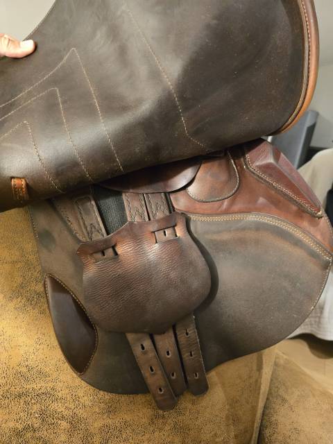 Sella da salto ostacoli Renaissance F2 17.5" - 2019