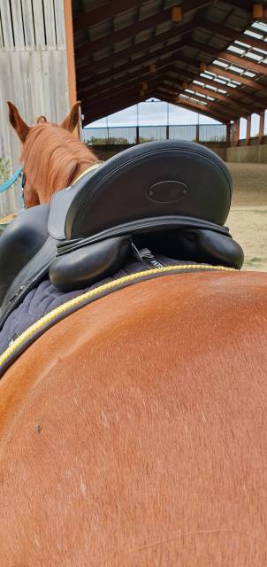 Sella da dressage Equipe  17.5" - 2021