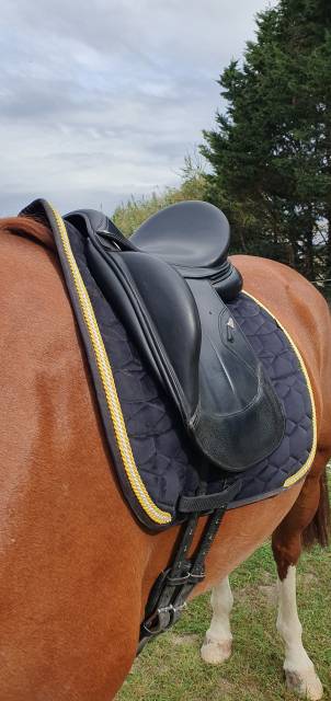 Sella da dressage Equipe  17.5" - 2021