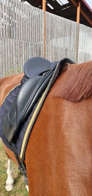 Sella da dressage Equipe  17.5" - 2021