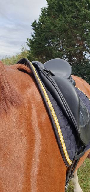 Sella da dressage Equipe  17.5" - 2021