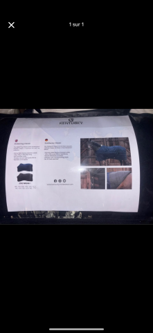  Kentucky Nuovo