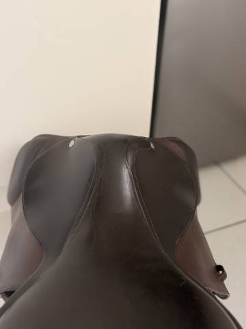 Sella mista CWD  17" - 2005