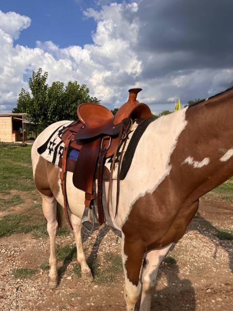 Sella americana da lavoro 