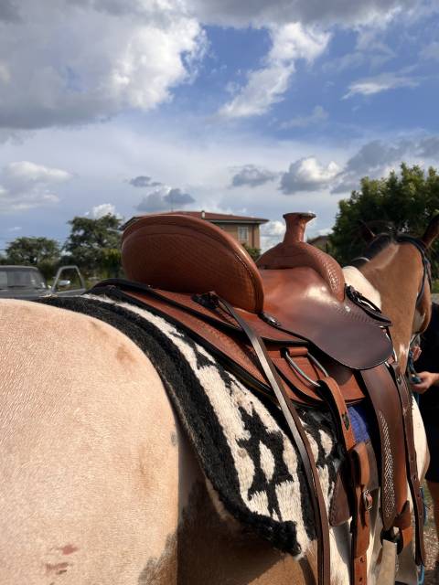 Sella americana da lavoro 