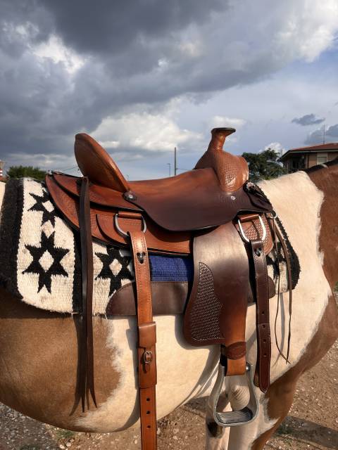 Sella americana da lavoro 