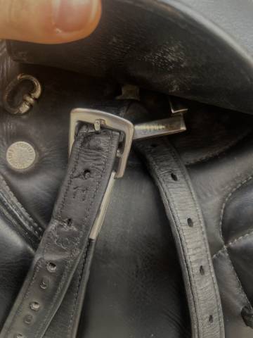 Sella Equiline da Salto in pelle nera