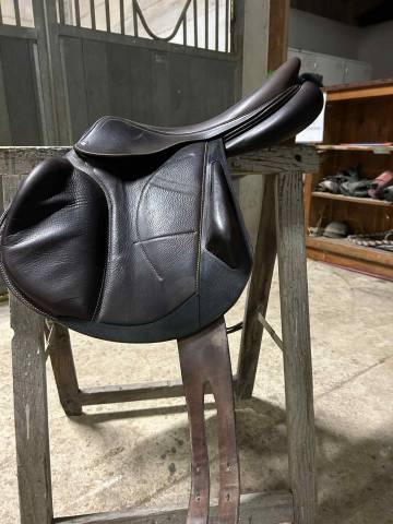 Sella da salto ostacoli Arion Cross 17.5" - 2024