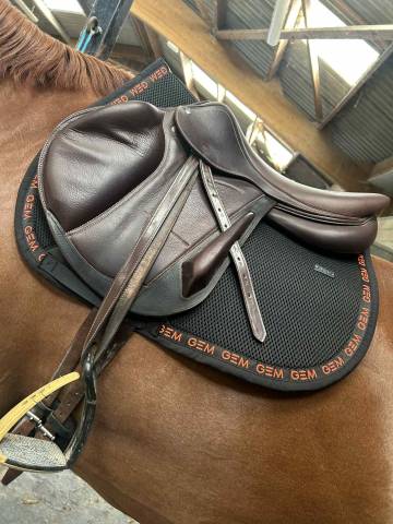 Sella da salto ostacoli Arion Cross 17.5" - 2024