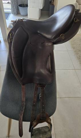 Sella mista Gaston Mercier  17" - 2021