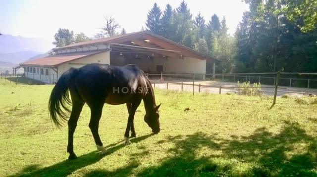 Proprietà equestre In vendita Haute-Savoie