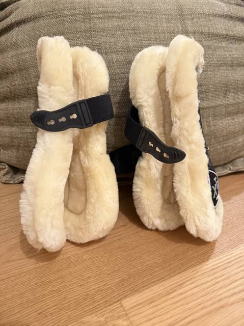 Stinchiere per cavallo