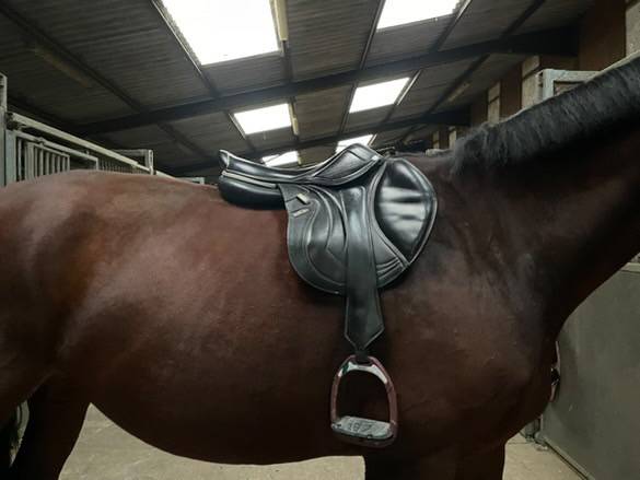 Sella da salto ostacoli CWD  17" - 2021