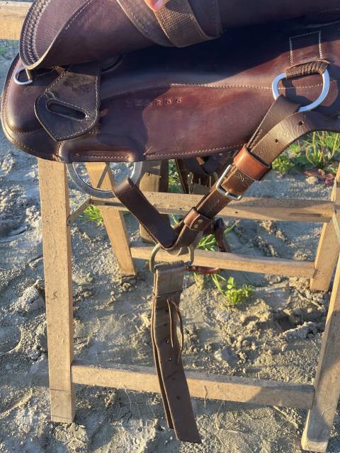 Sella western  Selle Western Startrekk Deuber Shorty  15" - 2020