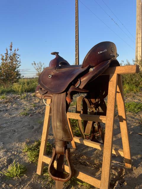 Sella western  Selle Western Startrekk Deuber Shorty  15" - 2020