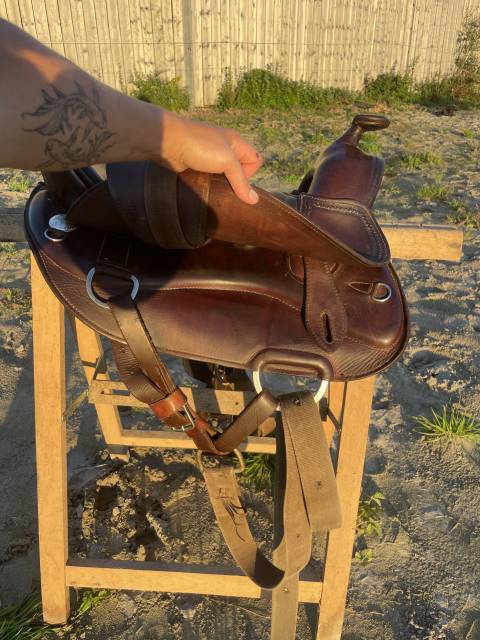 Sella western  Selle Western Startrekk Deuber Shorty  15" - 2020