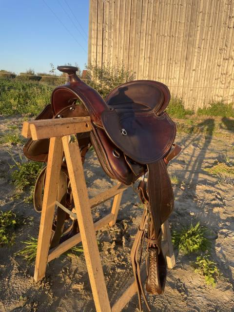 Sella western  Selle Western Startrekk Deuber Shorty  15" - 2020