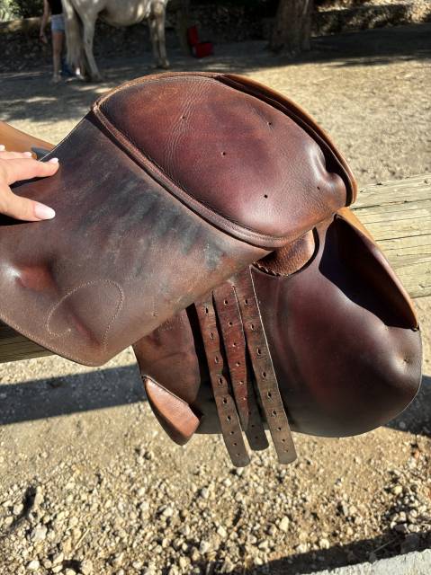 Sella mista Forestier  17" - 2012