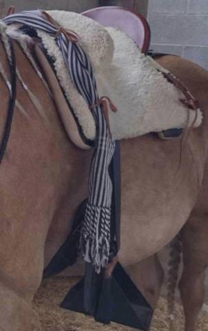 Sella da vaquera Ludomar  18" - 2018