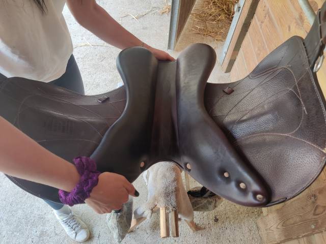 Sella mista Antarès  17.5" - 2023